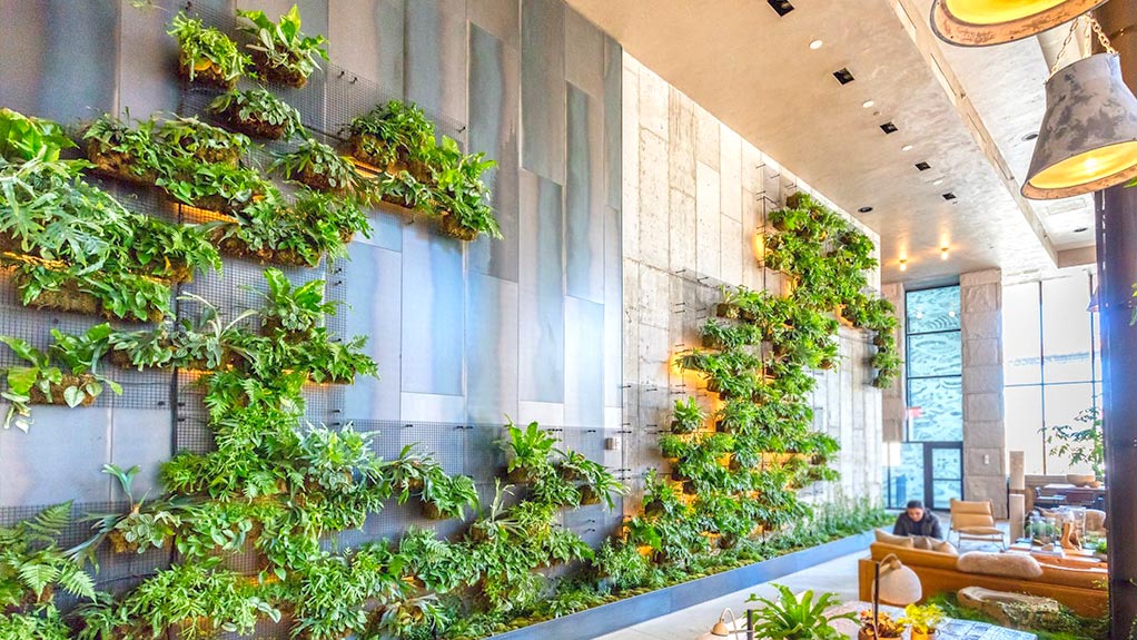 Materiais Naturais e Formas Orgânicas: Dicas para uma Decoração Biofílica Autêntica