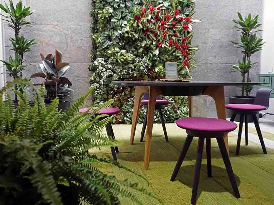 Como o Design Biofílico Pode Transformar seu Escritório e Aumentar a Produtividade