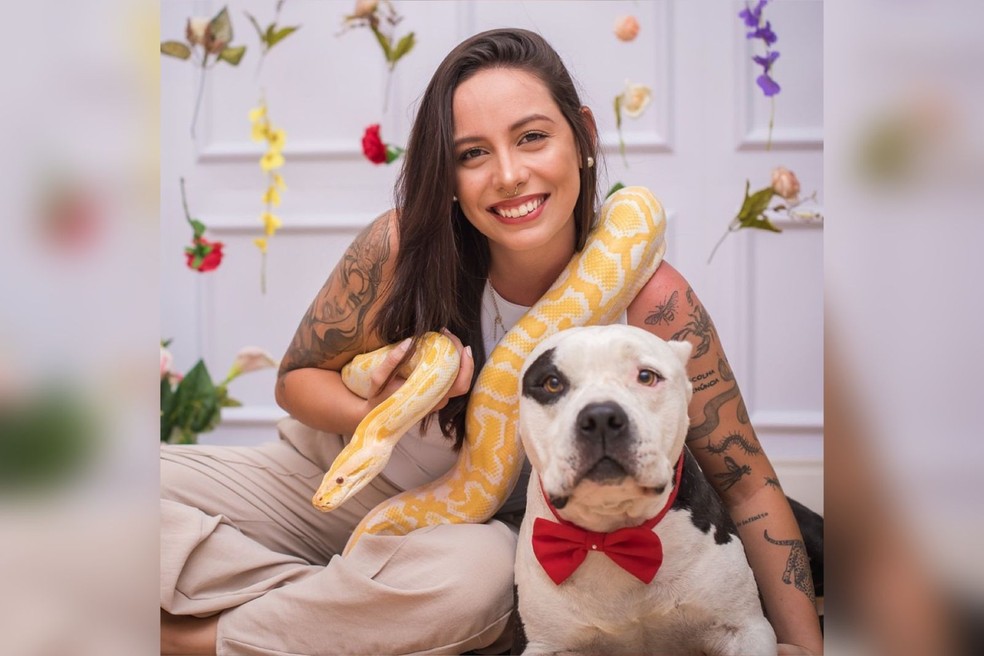 5 ideias de títulos