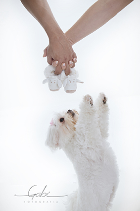 5 ideias de títulos