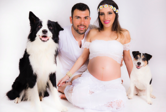 ensaio com animais de estimacao