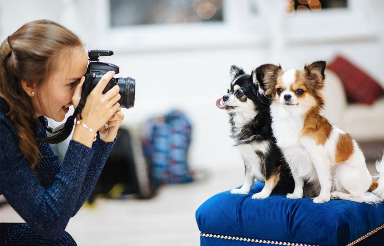 5 ideias de títulos