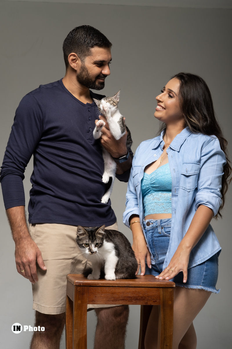 ensaio com animais de estimacao