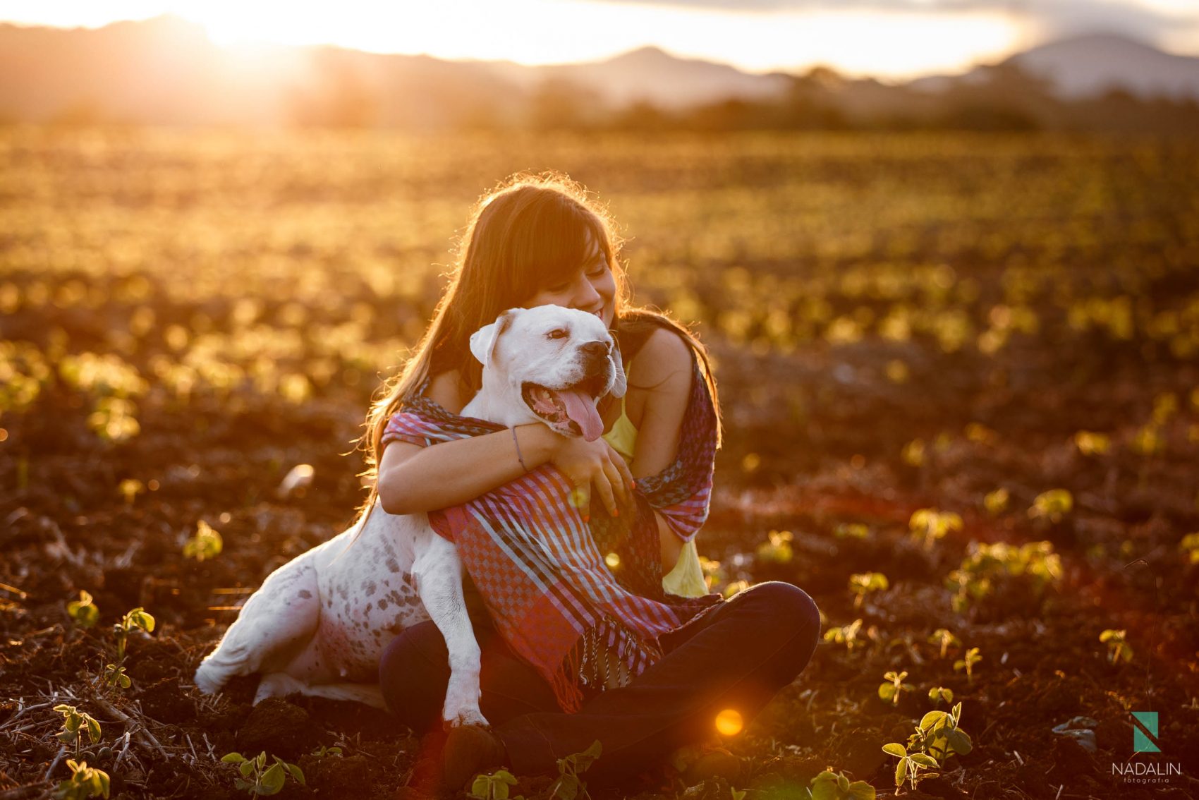 5 ideias de títulos