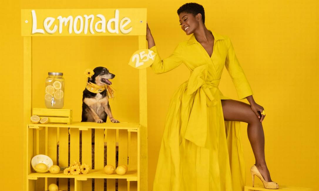 ensaio com animais de estimacao