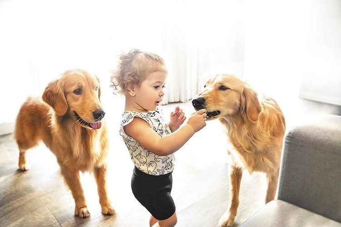 5 ideias de títulos