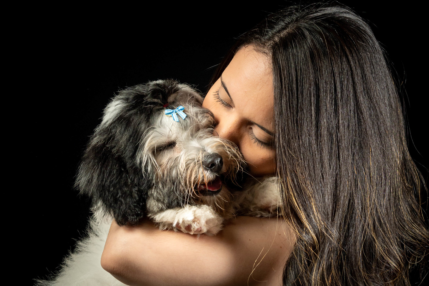 ensaio com animais de estimacao