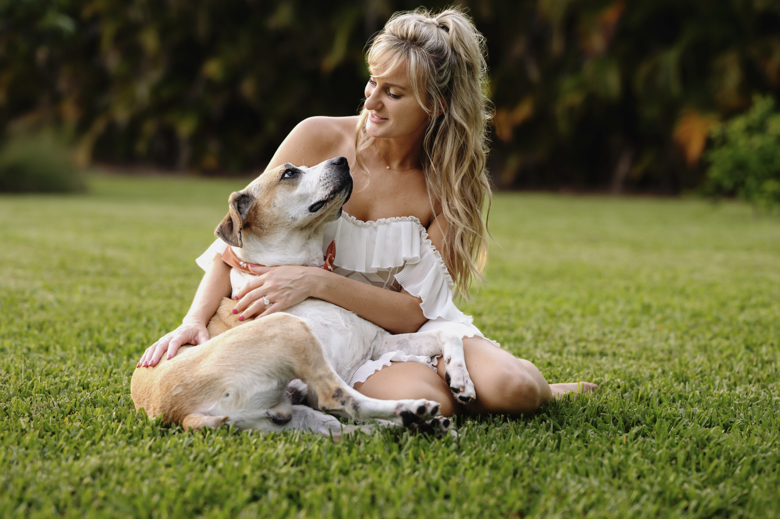 ensaio com animais de estimacao