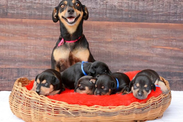 5 ideias de títulos