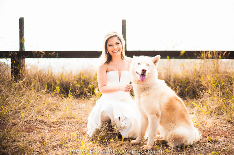 ensaio com animais de estimacao