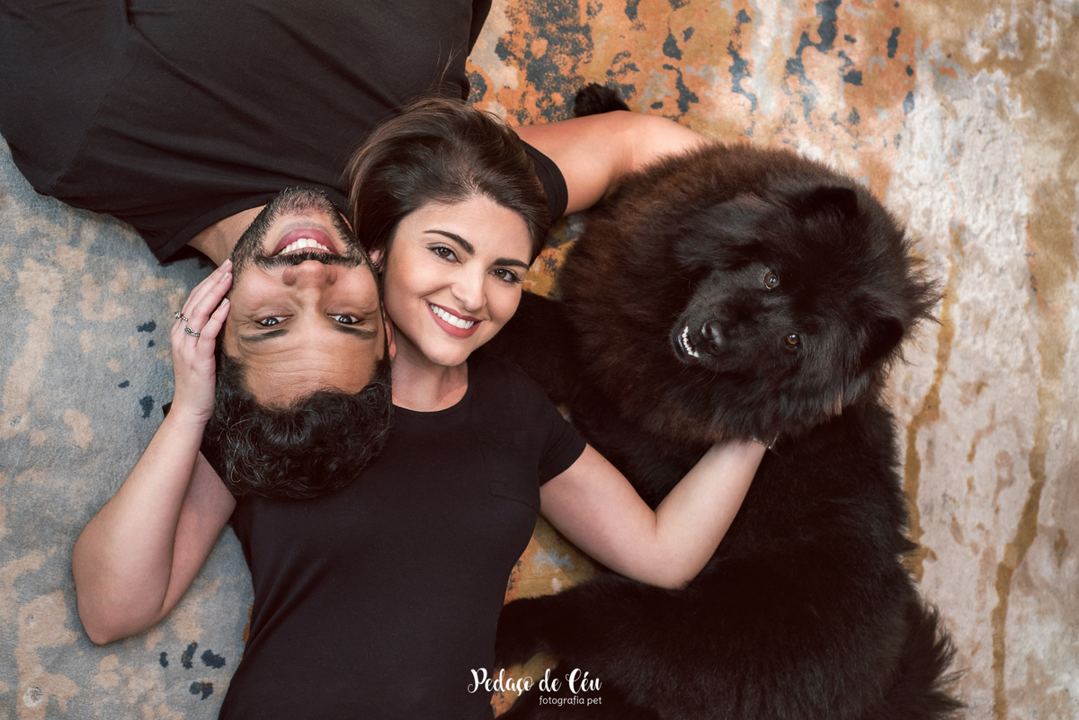 5 ideias de títulos