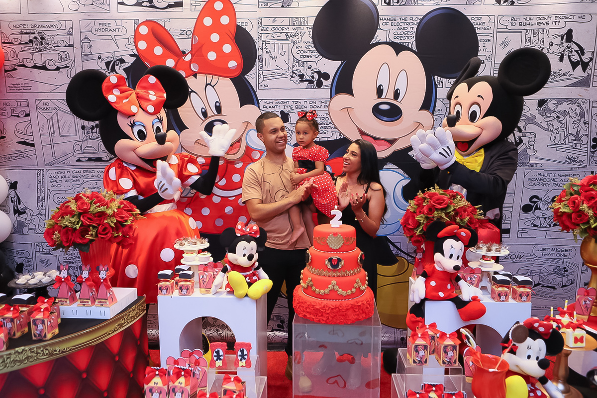 Minnie Rosa vs. Loja de Laços da Minnie: Qual Tema Escolher para a Festa?