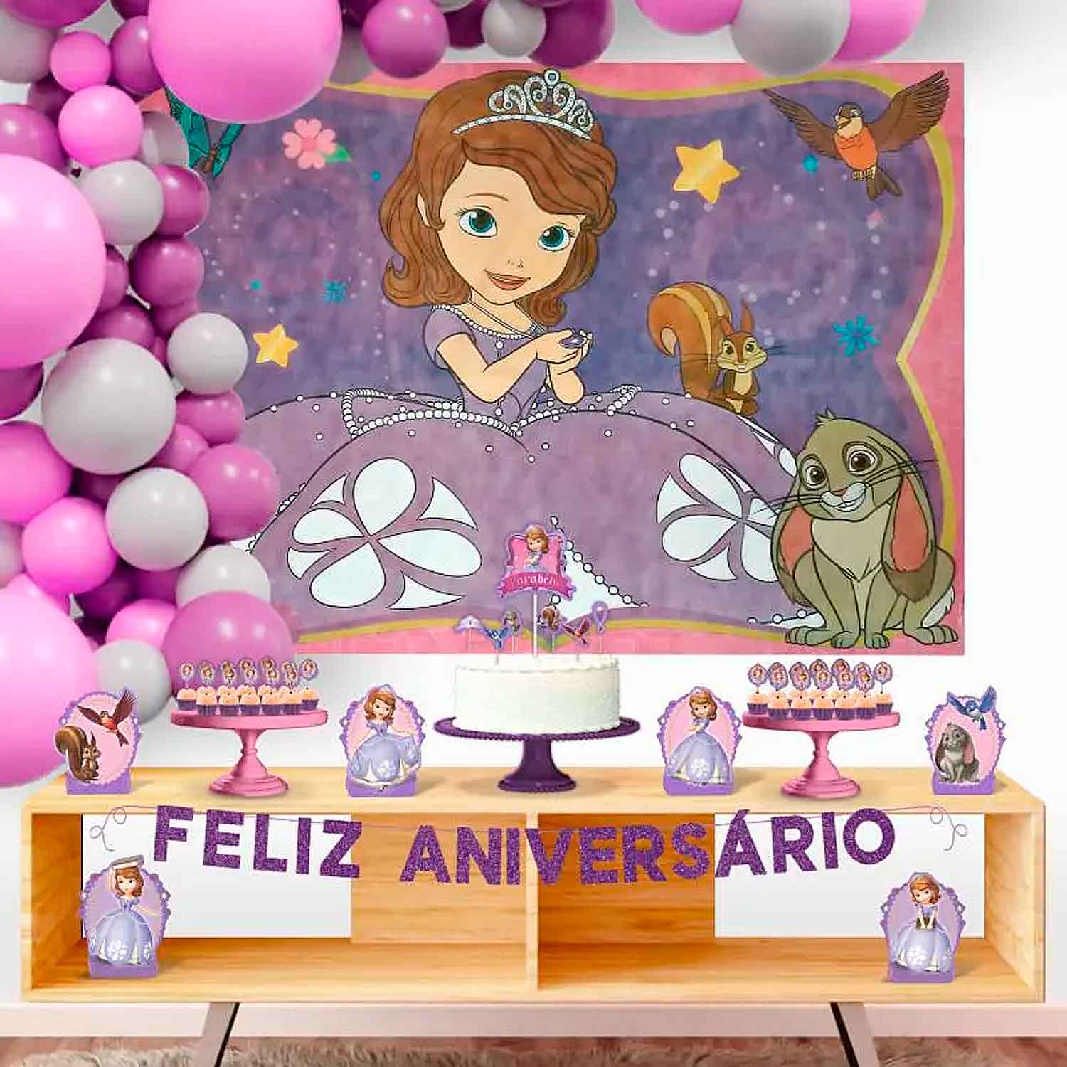 princesa sofia festa de menina