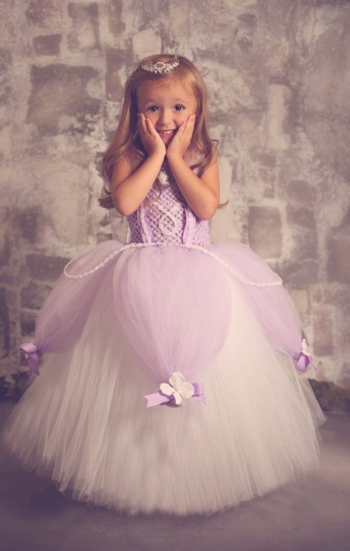 festa infantil princesa sofia simples