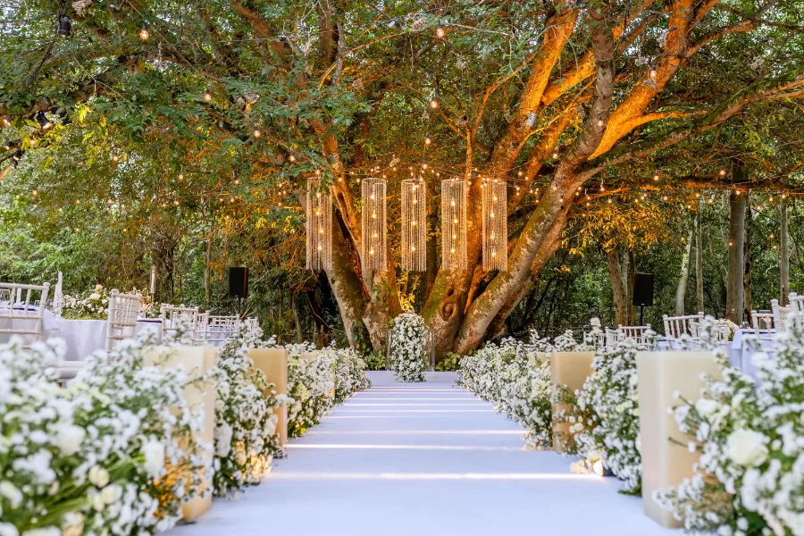 Mini Wedding: Guia Completo para um Casamento Íntimo e Econômico