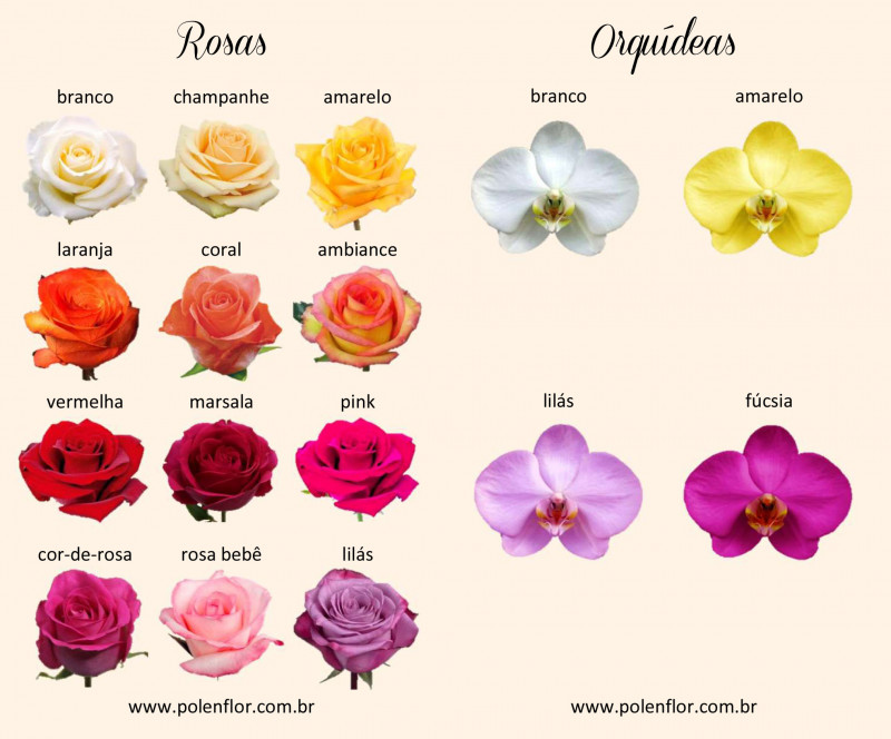 flores para buque de noiva campo