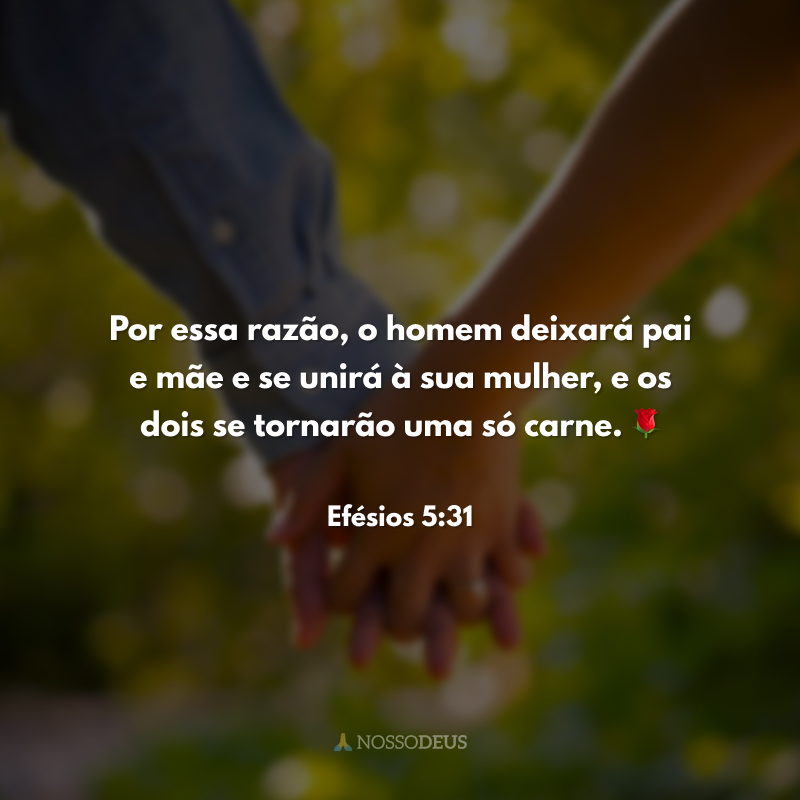 provérbios sobre casamento