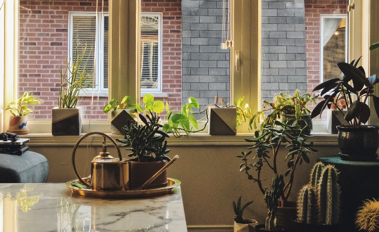 Além da Decoração: Adotando o Estilo de Vida Hygge no Dia a Dia