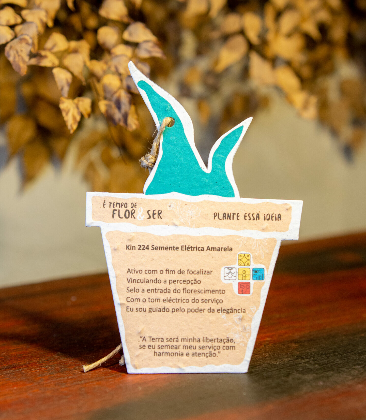 5 ideias de títulos