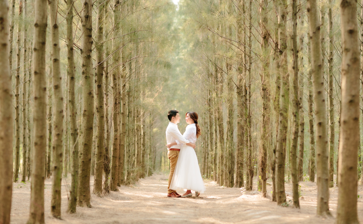 5 ideias de títulos