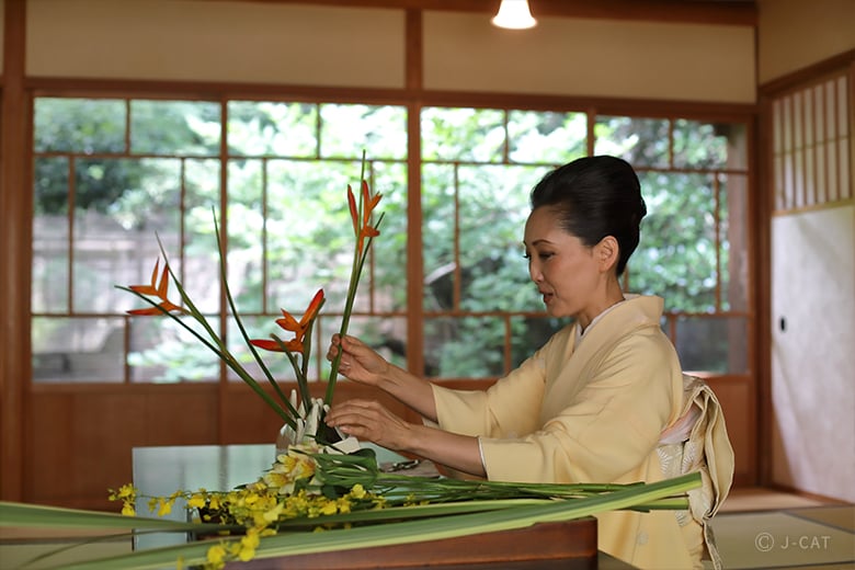 ikebana Shoka