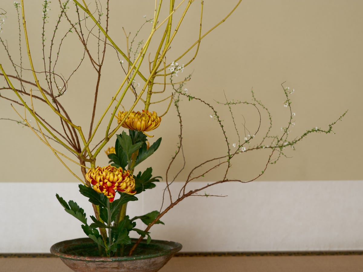 estilos de ikebana