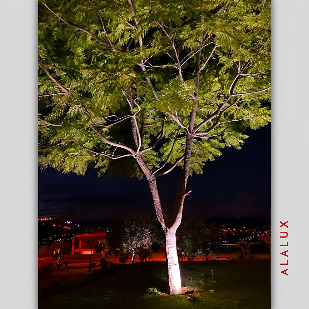 luzes para árvores externas