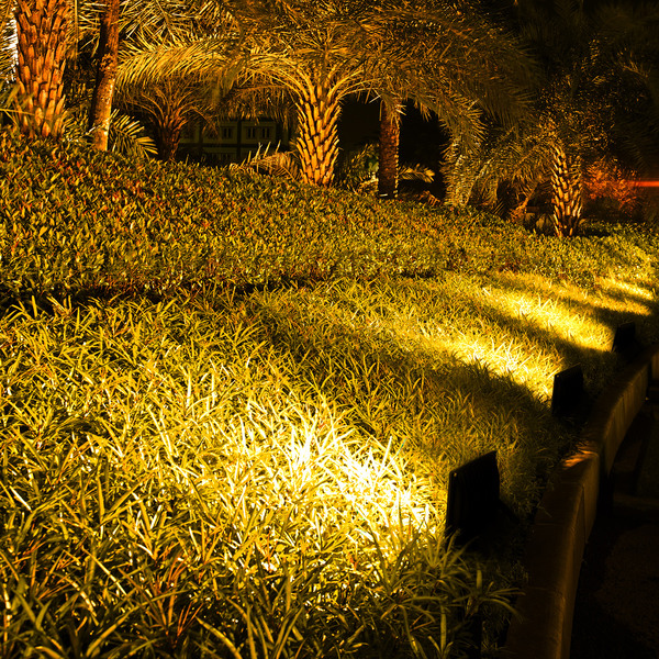 valorizar árvores com luz