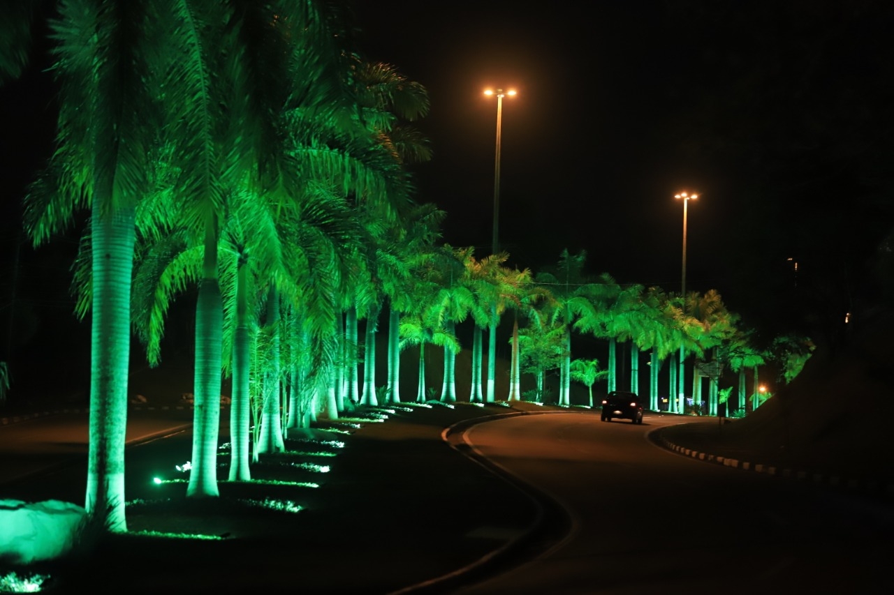luz quente para paisagismo