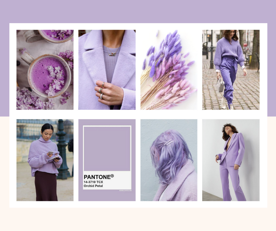 Como usar a cor lavanda na decoração de interiores