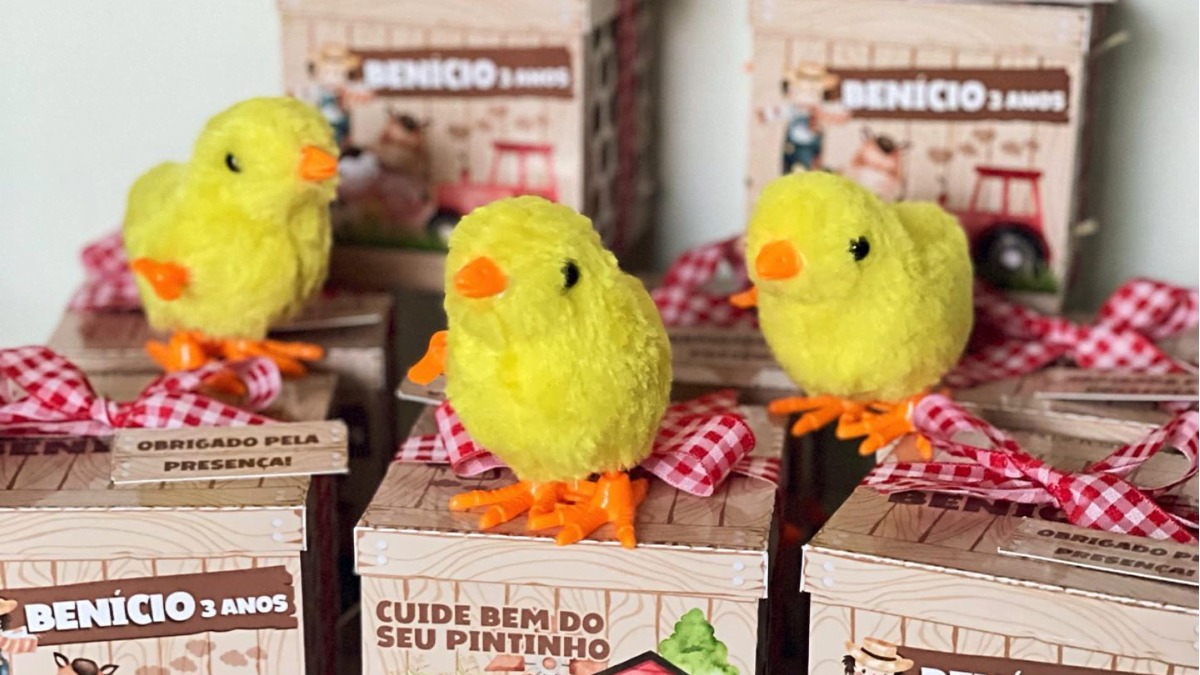 melhores lembrancinhas de aniversario fazendinha