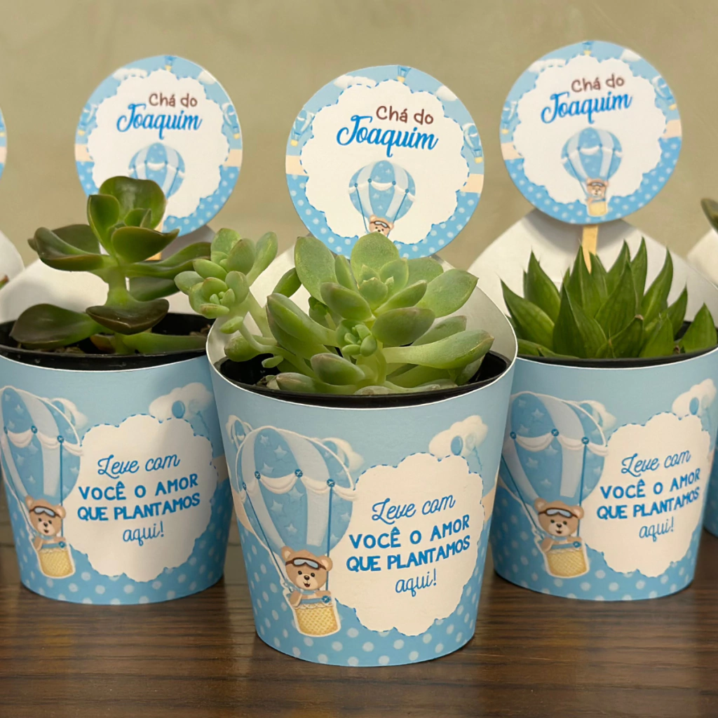Temas de Chá de Bebê e Lembrancinhas que Combinam