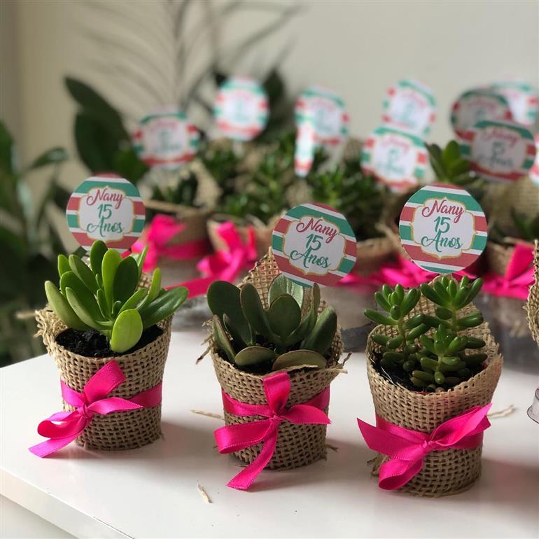 5 ideias de títulos