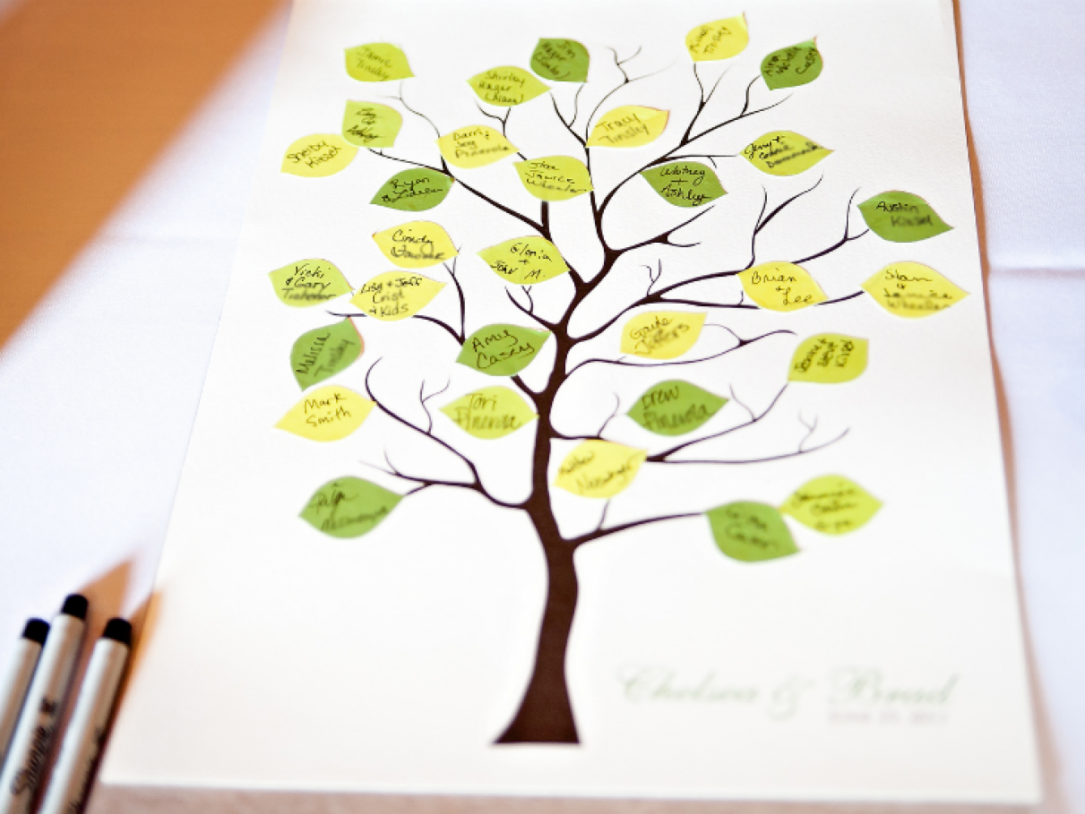 5 ideias de títulos