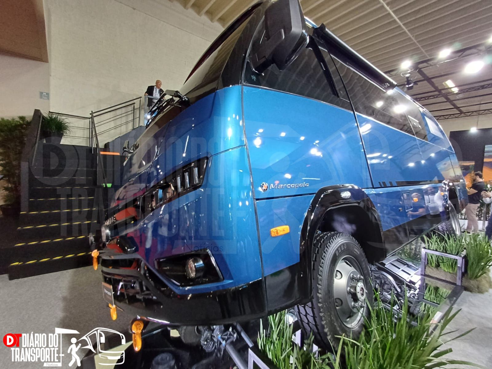 erros comuns lua de mel motorhome