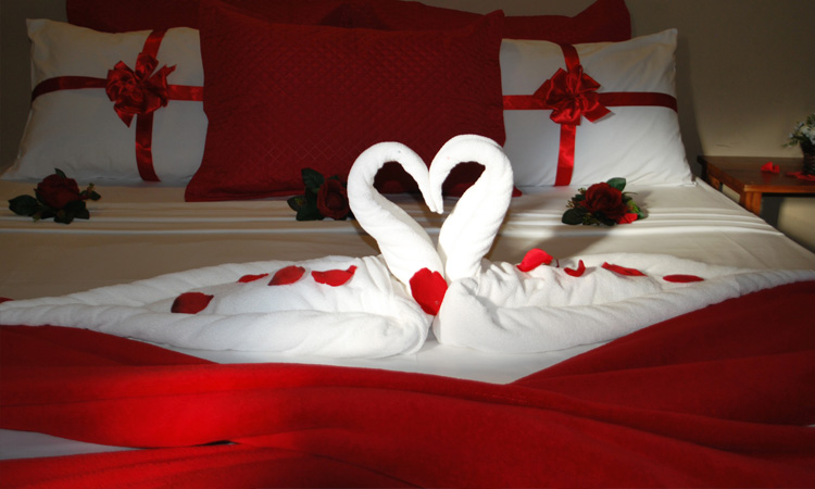 erros comuns lua de mel motorhome