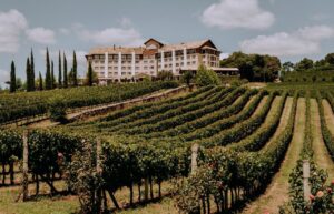 spa em vinícola