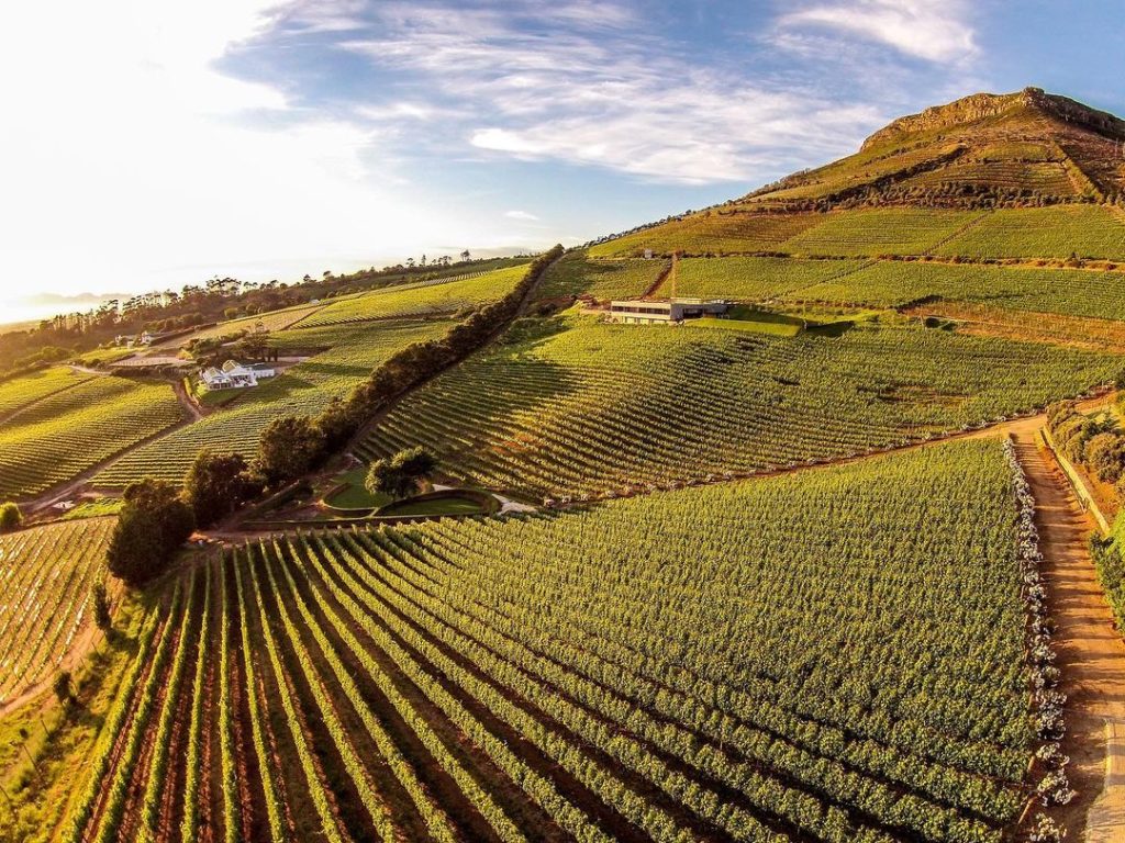 Roteiro de 7 Dias em Cape Town: O Que Fazer em Sua Lua de Mel