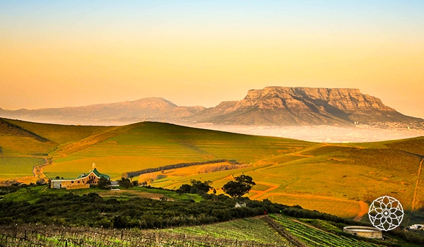 lua de mel em Cape Town