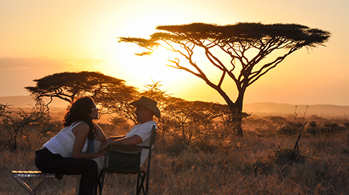 Roteiro de 7 Dias em Cape Town: O Que Fazer em Sua Lua de Mel