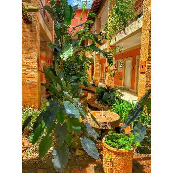 Experiências Únicas em Hotéis Fazenda: De Cavaladas a Spas