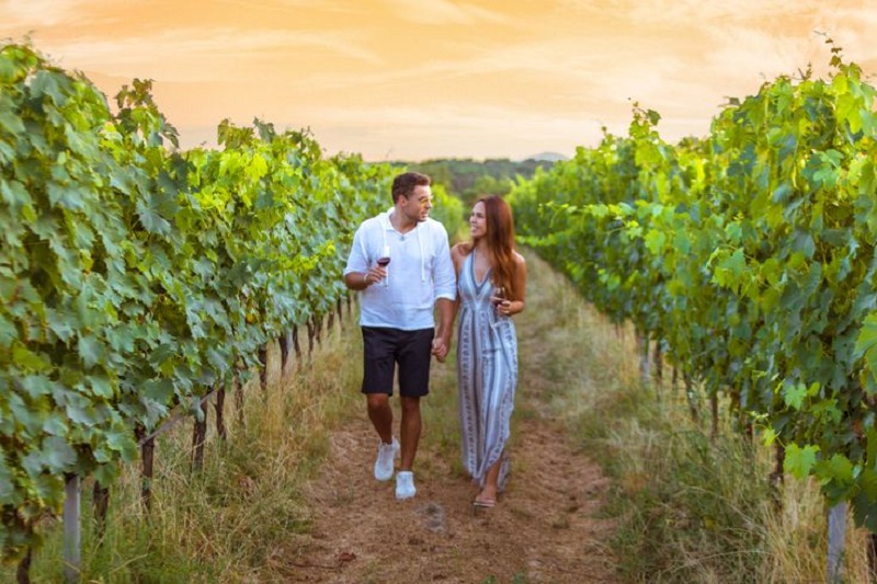 lua de mel em Mendoza (vinicolas)