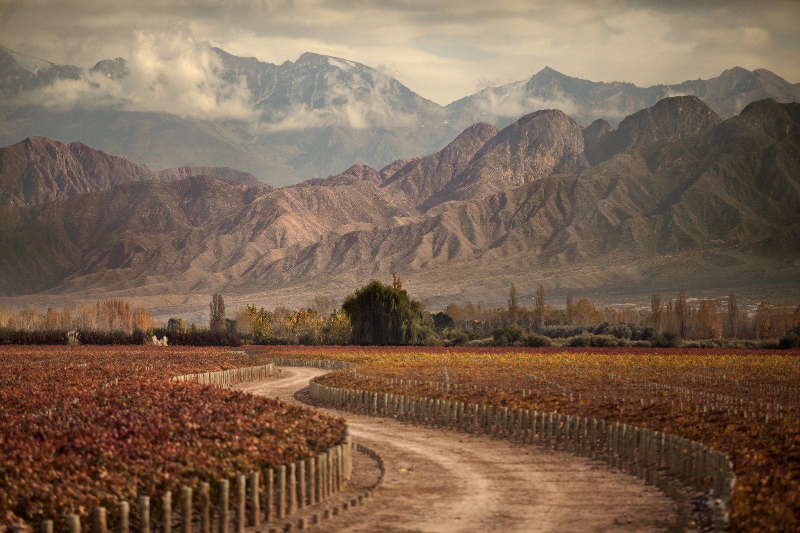 lua de mel em Mendoza (vinicolas)