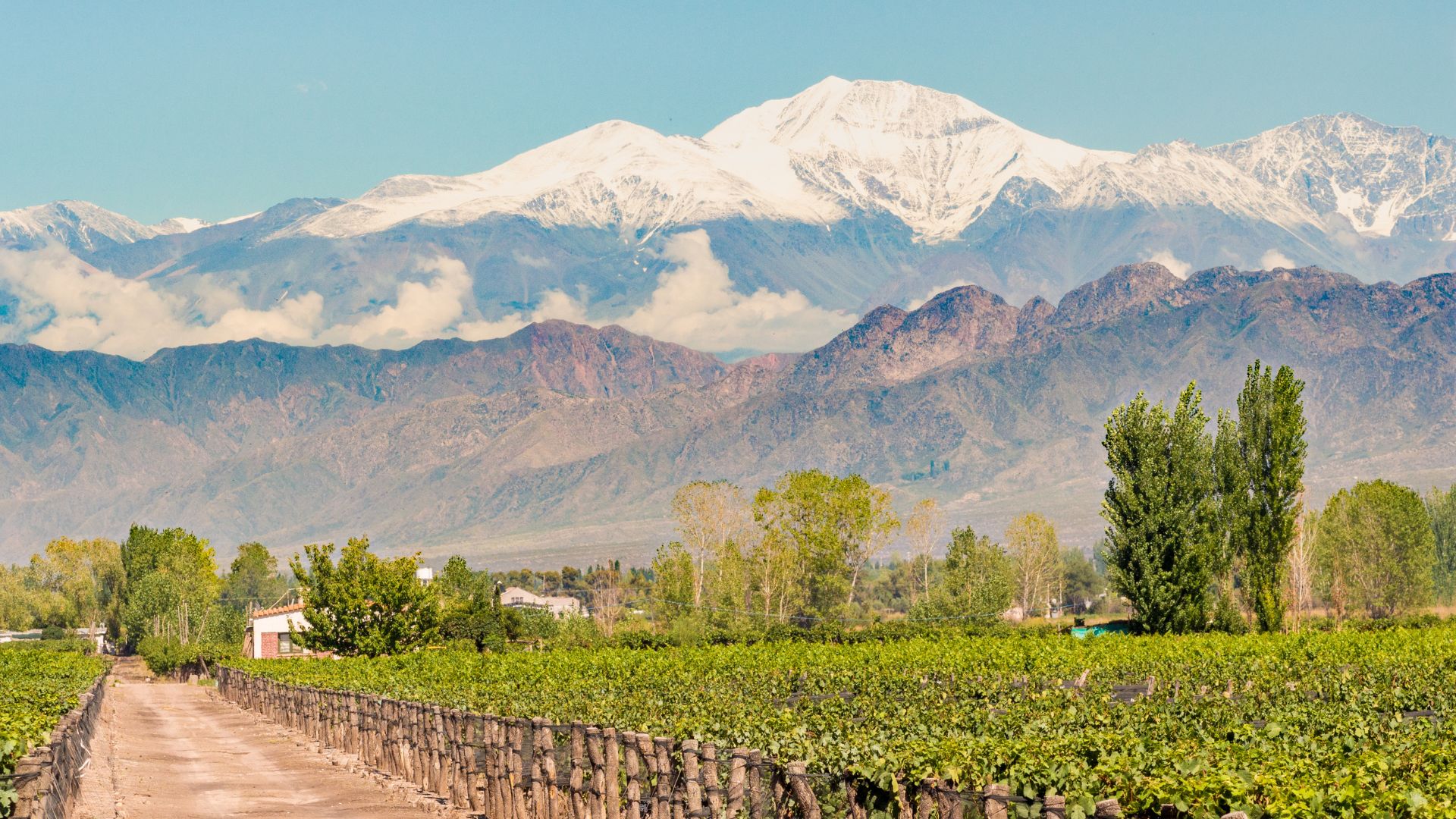lua de mel em Mendoza (vinicolas)