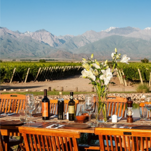 lua de mel em Mendoza (vinicolas)