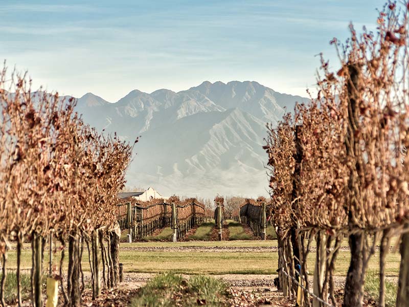 lua de mel em Mendoza (vinicolas)