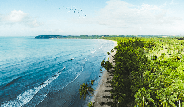 São Miguel dos Milagres: Melhor Época para Visitar e Aproveitar as Piscinas Naturais
