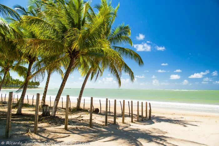 lua de mel em Sao Miguel dos Milagres