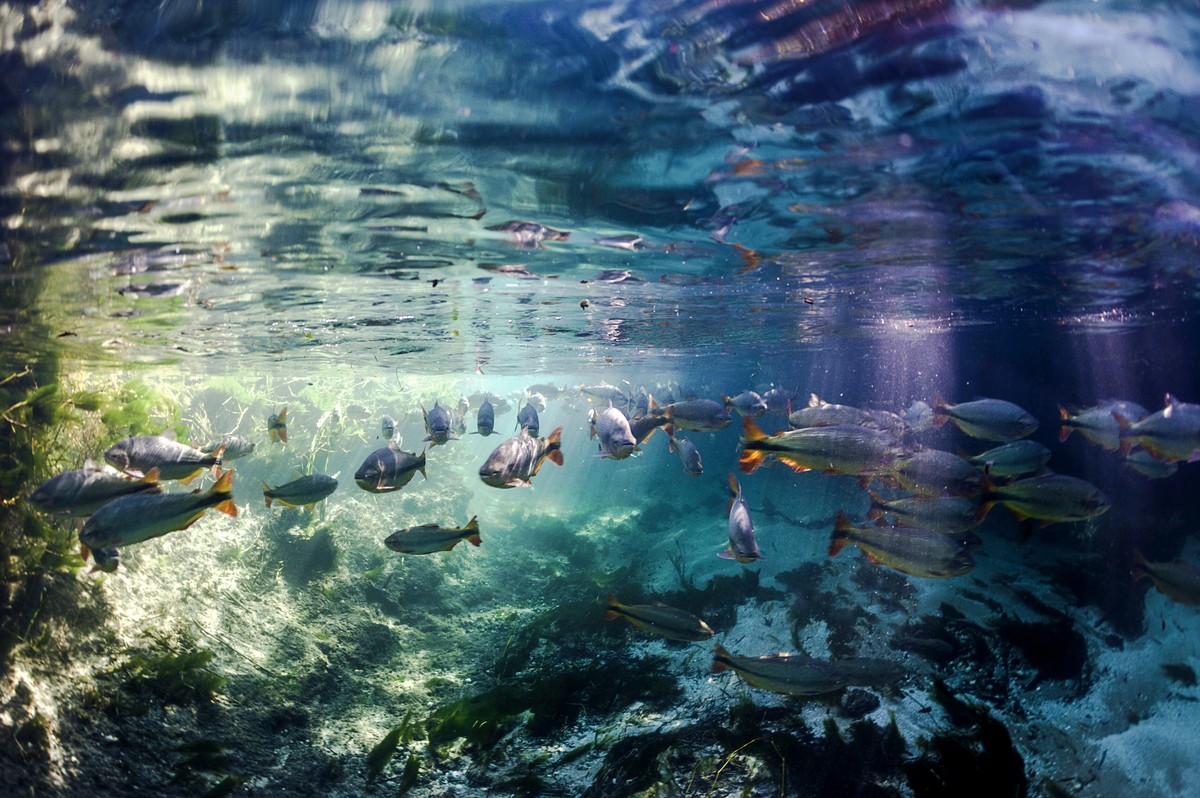 O que levar na mala para uma lua de mel em Ilhabela