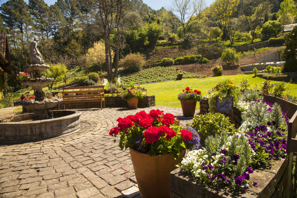 lua de mel na Serra Gaucha
